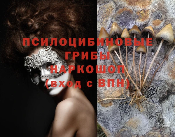 спайс Абаза