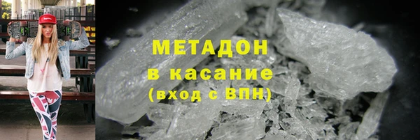 стаф Алзамай