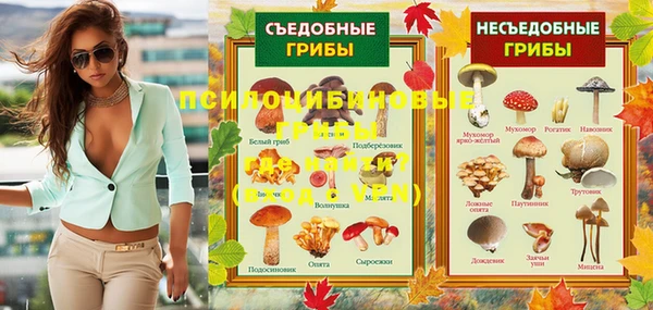 спайс Абаза