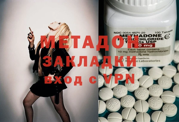 стаф Алзамай