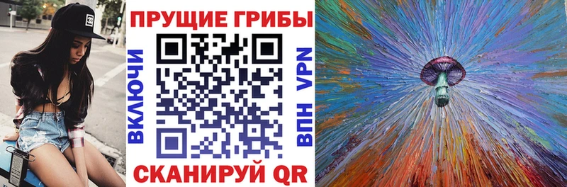 Галлюциногенные грибы мухоморы закладки Николаевск-на-Амуре